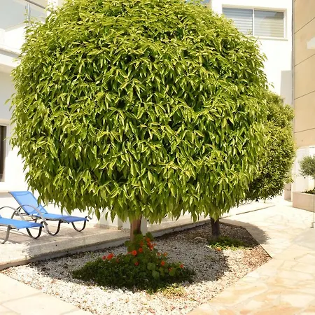 호텔 Fedrania Gardens 2*