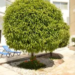 Hotel Fedrania Gardens 2*